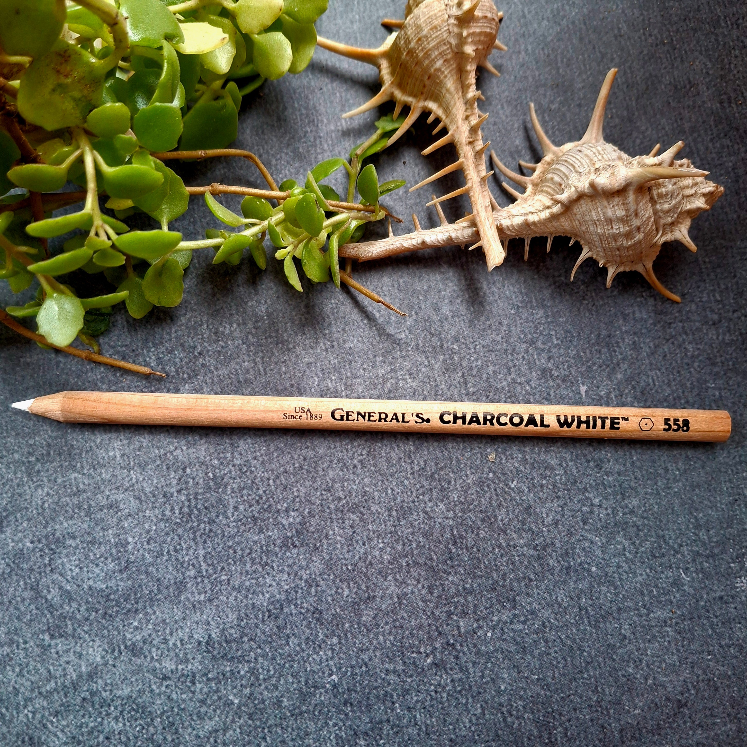 General's Charcoal Pencil * White