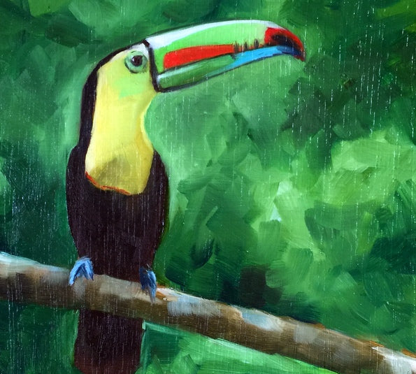 Keel Billed Toucan