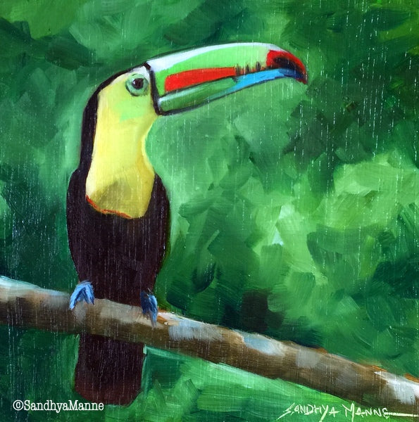 Keel Billed Toucan