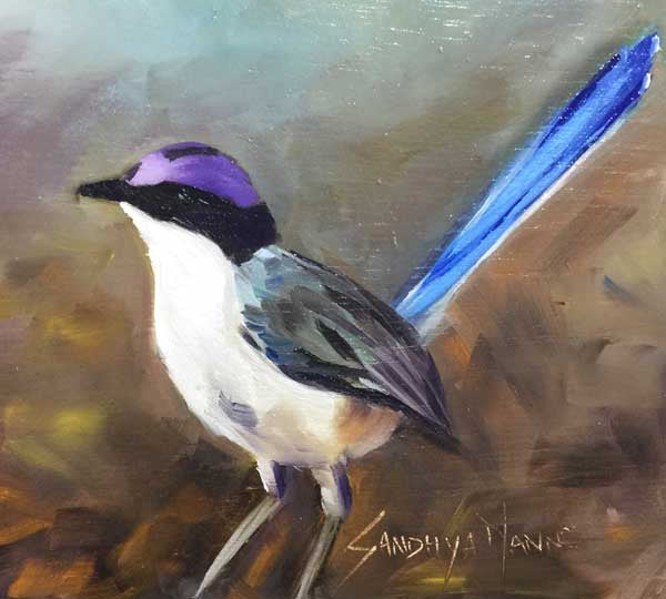 The Purple-crowned Fairywren