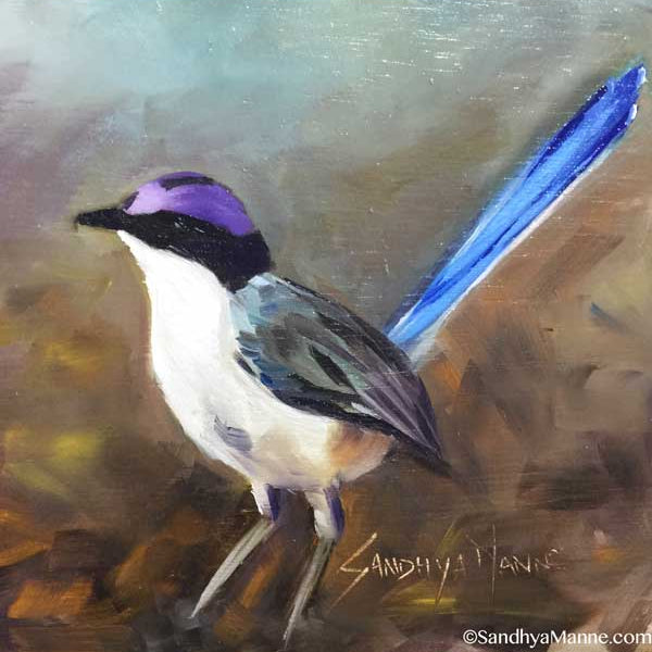 The Purple-crowned Fairywren