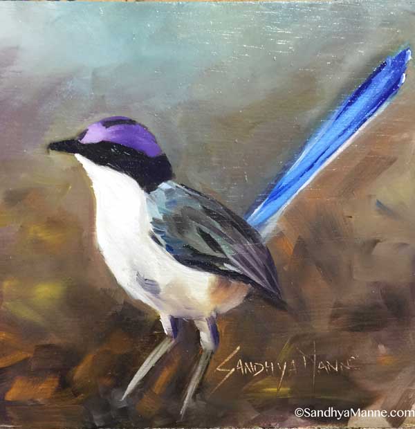 The Purple-crowned Fairywren