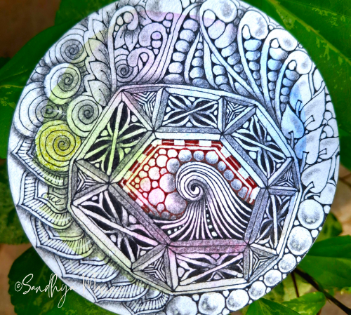 Raindrops, Routines & Tangle Time