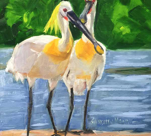 The Eurasian spoonbill