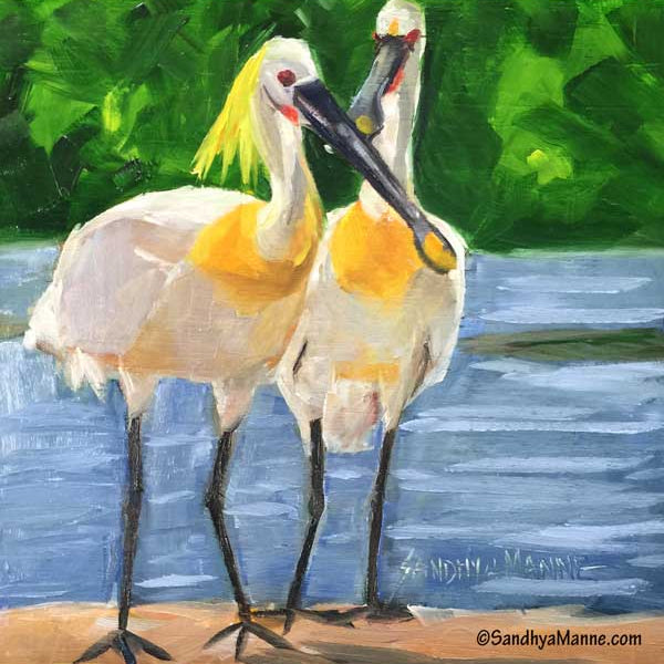 The Eurasian spoonbill