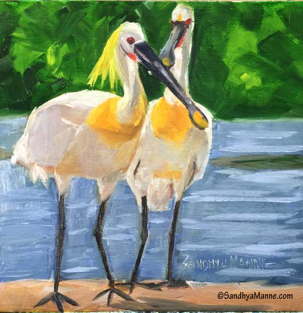 The Eurasian spoonbill