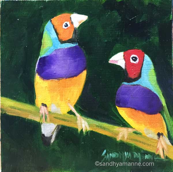 Lady Gouldians