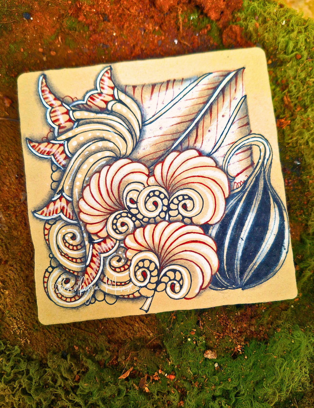 Rediscovering Beauty