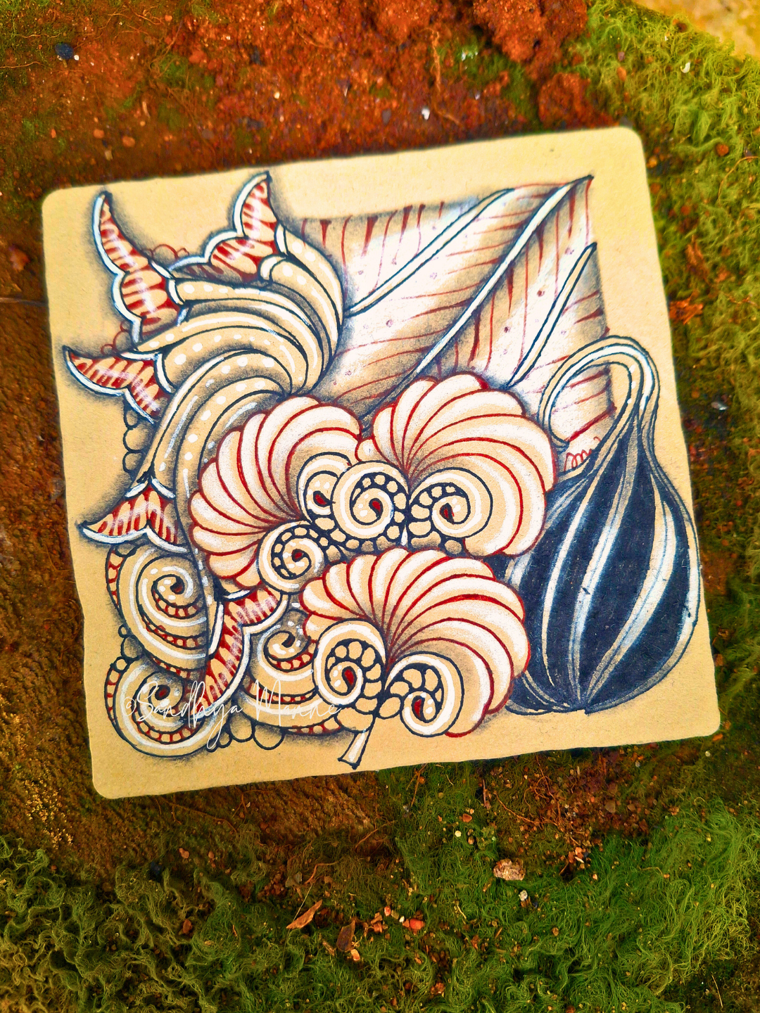 Rediscovering Beauty