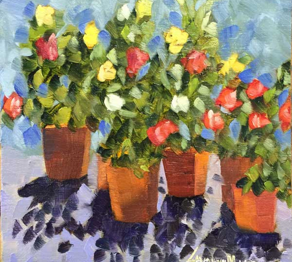 Flower Pots