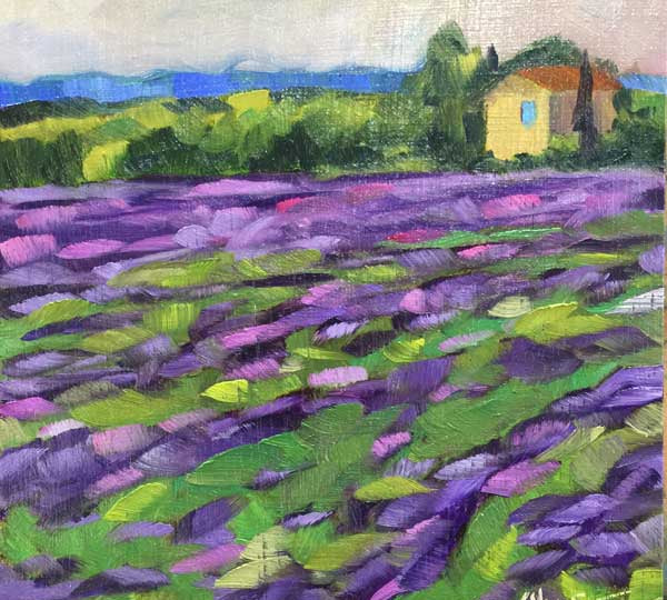 The Lavender Field