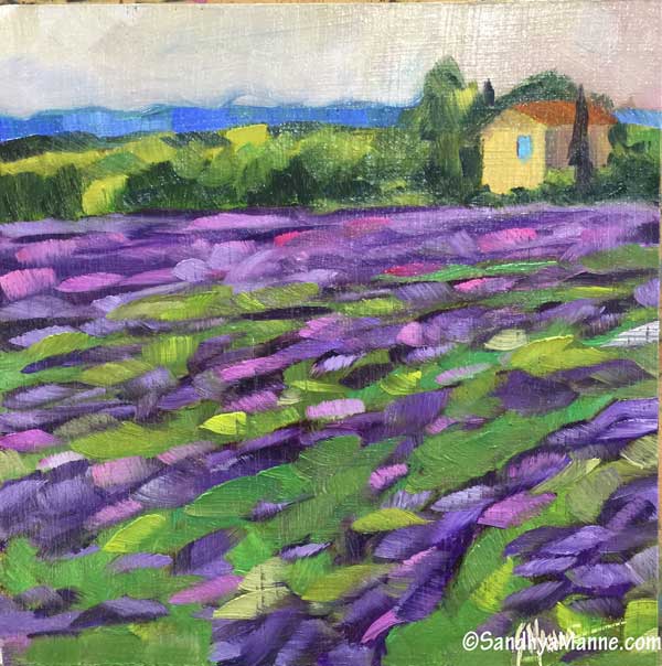 The Lavender Field