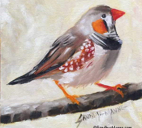 The Zebra Finch