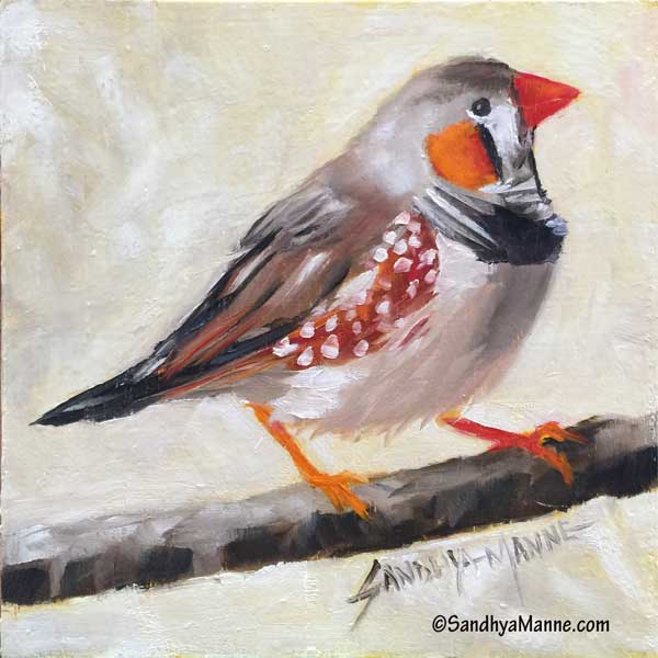 The Zebra Finch