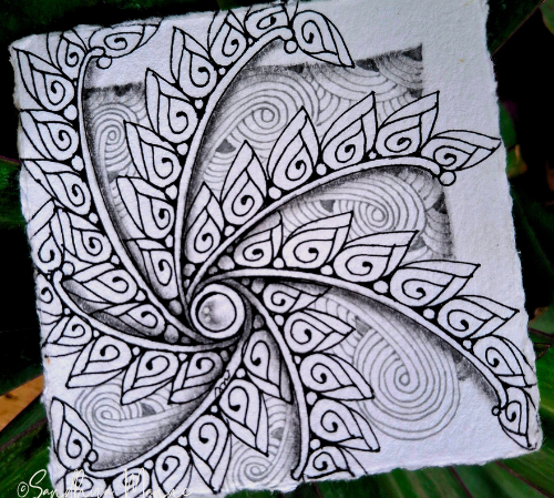 Exploring Budweed: A Delicate Dance of Tangles