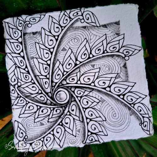 Exploring Budweed: A Delicate Dance of Tangles