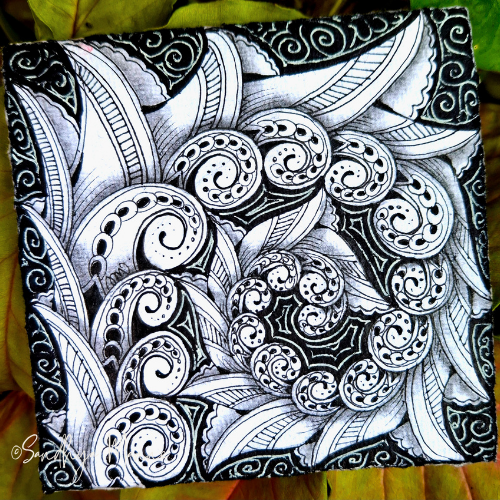 A Rain-Kissed Creative Day