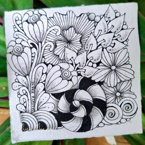 Fresh After the Rain