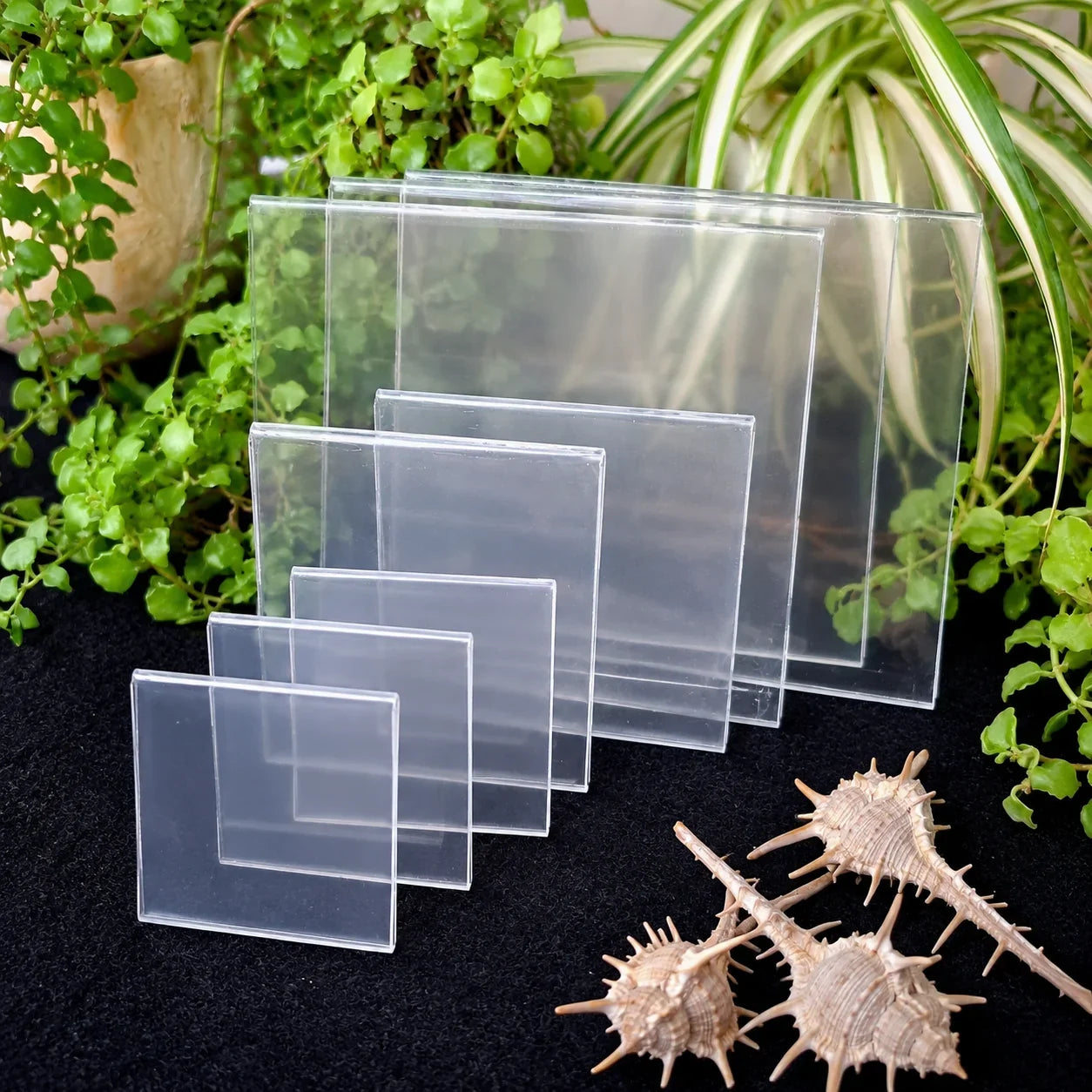 Frames for Zentangle Art Display