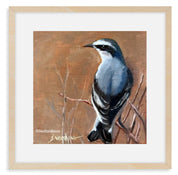 The Northern Wheatear