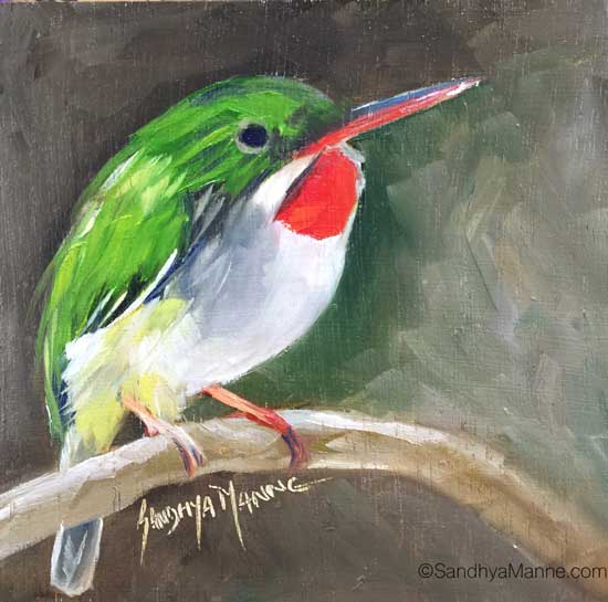 The Puerto Rican tody