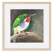 The Puerto Rican tody