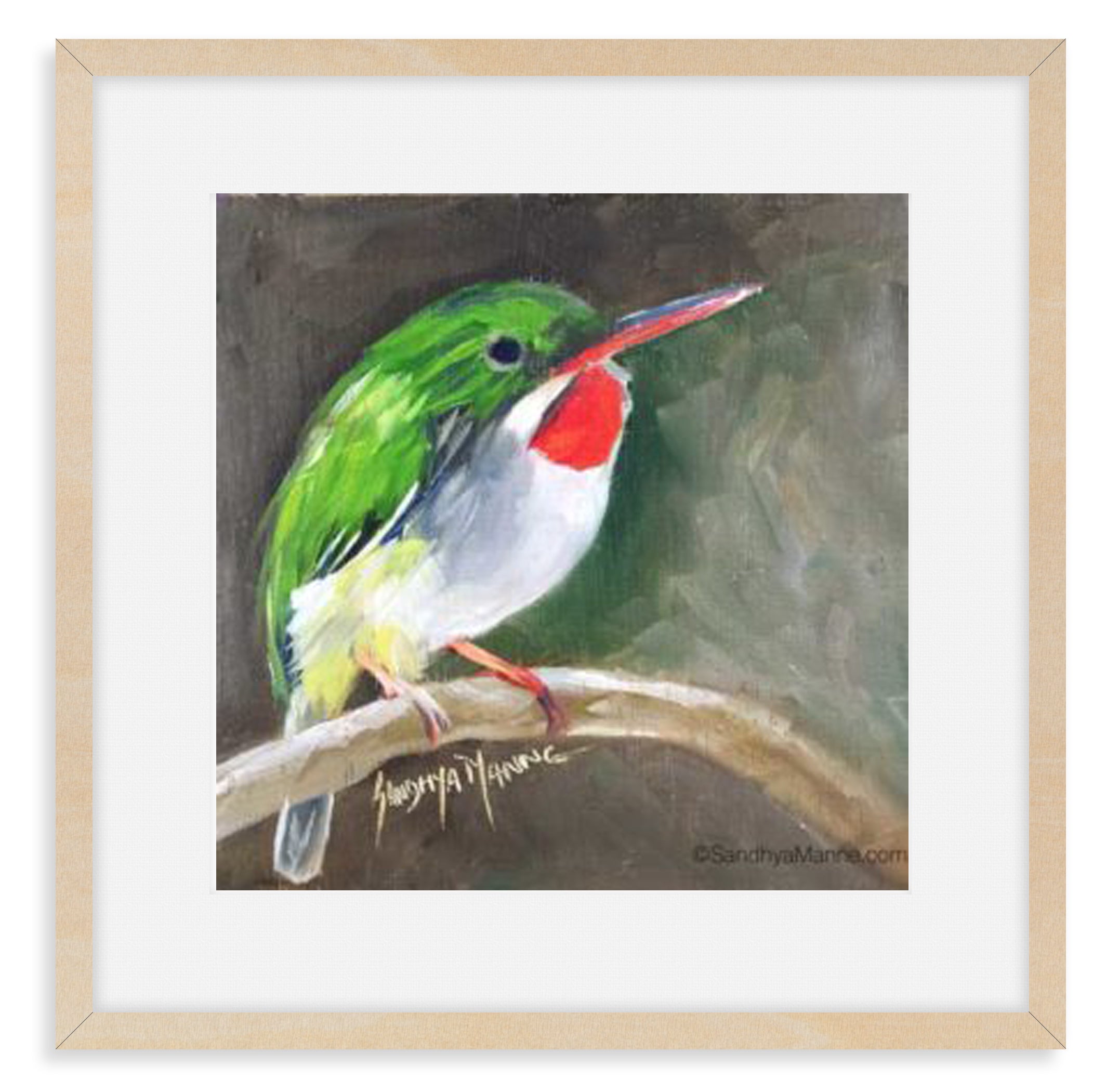 The Puerto Rican tody