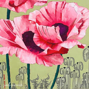 PINK POPPIES