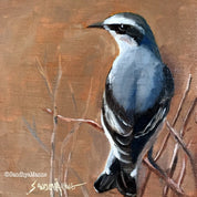 The Northern Wheatear