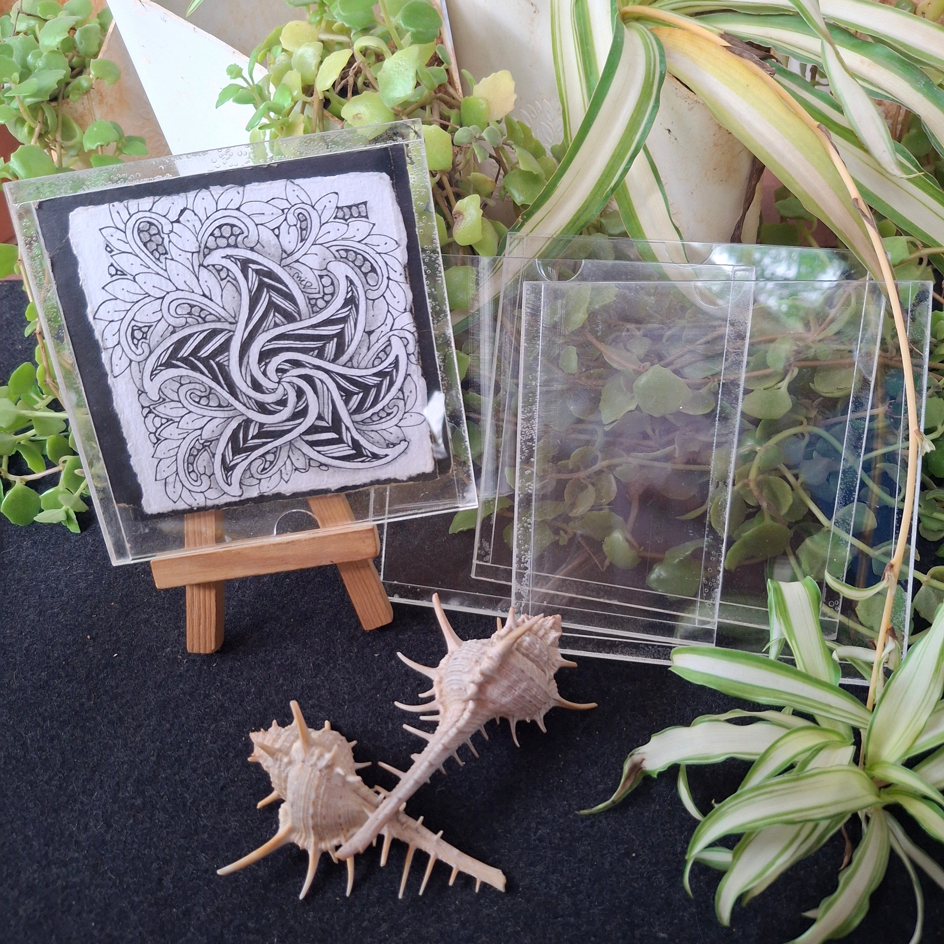 Acrylic Frames-Small