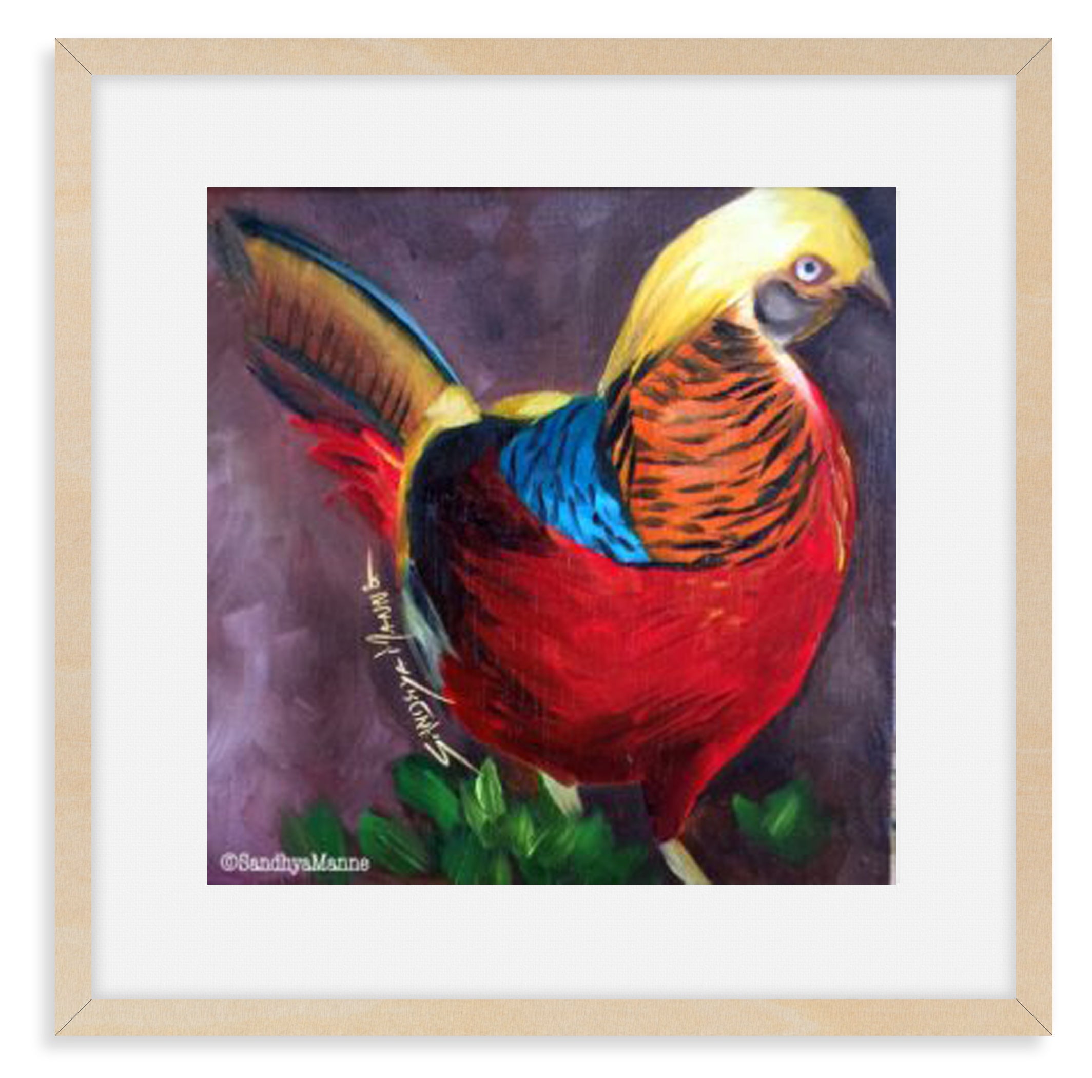 The Golden Pheasant