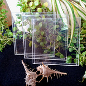Small Acrylic Frames-Without Stand