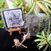 Small Acrylic Frames-Without Stand