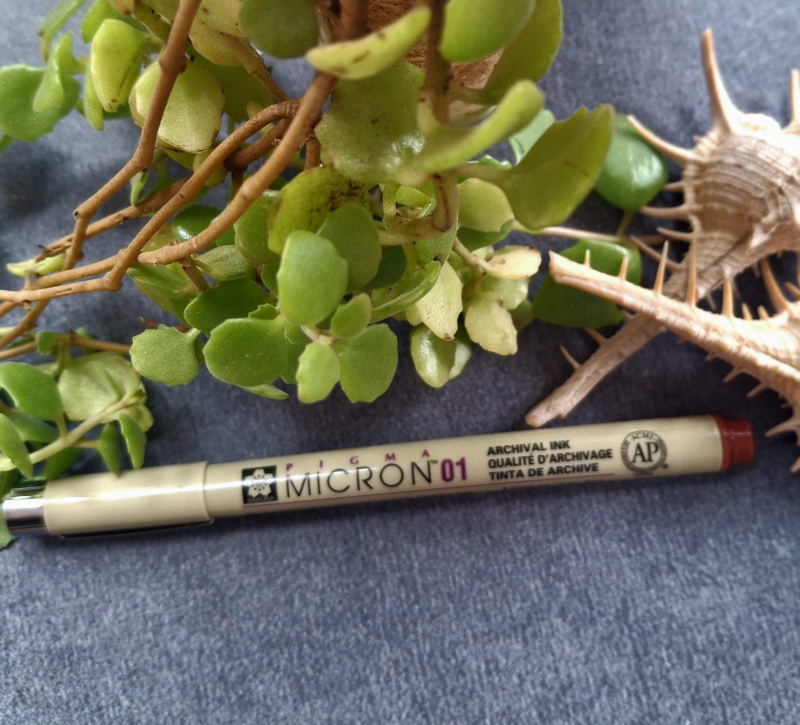 BrownMicron01D.jpg