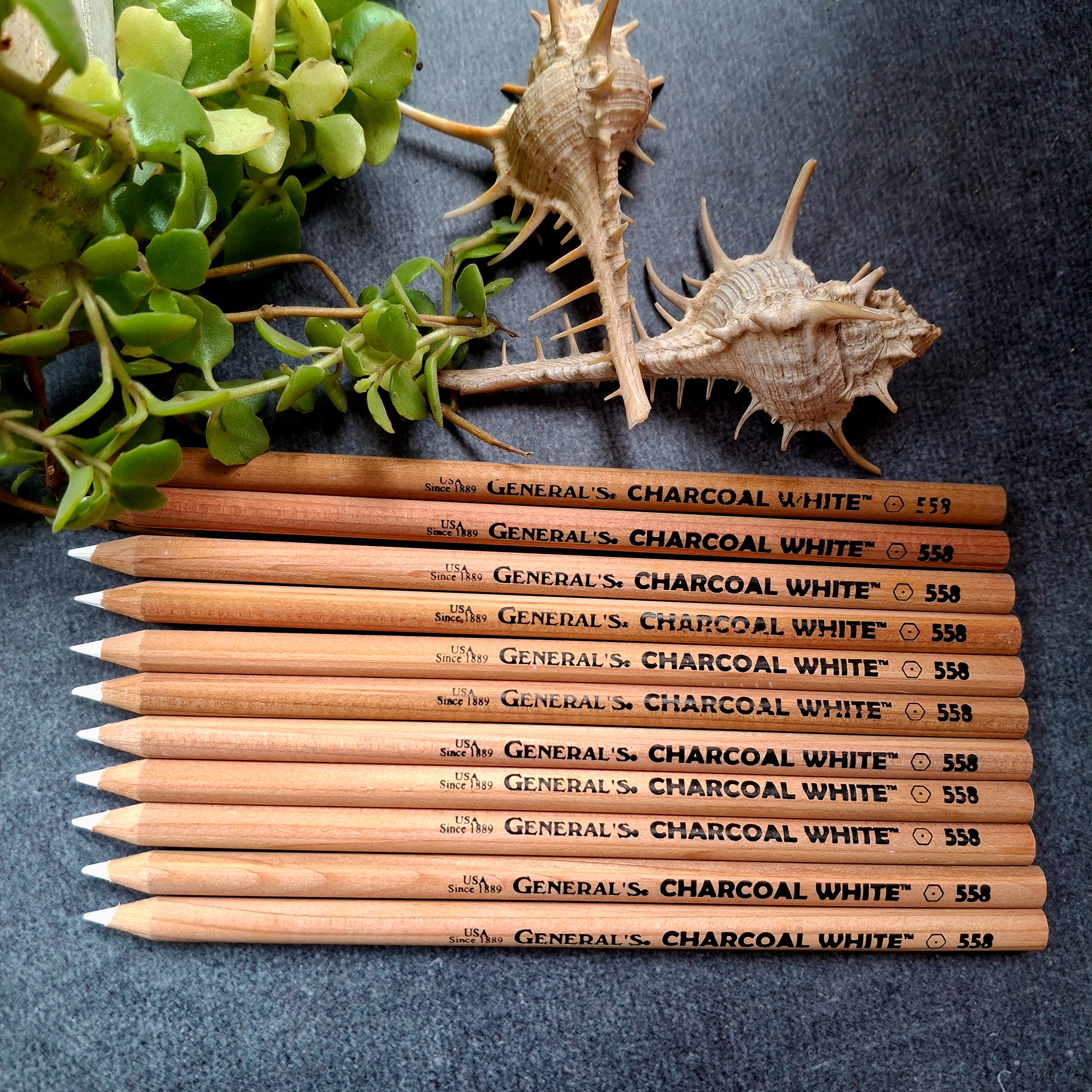 General's Charcoal Pencil * White
