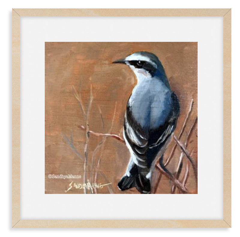 Northern-Wheatear-birds-oil-painting-frames-home-decor-sandhyamanne-studio-ecr-chennai.jpg