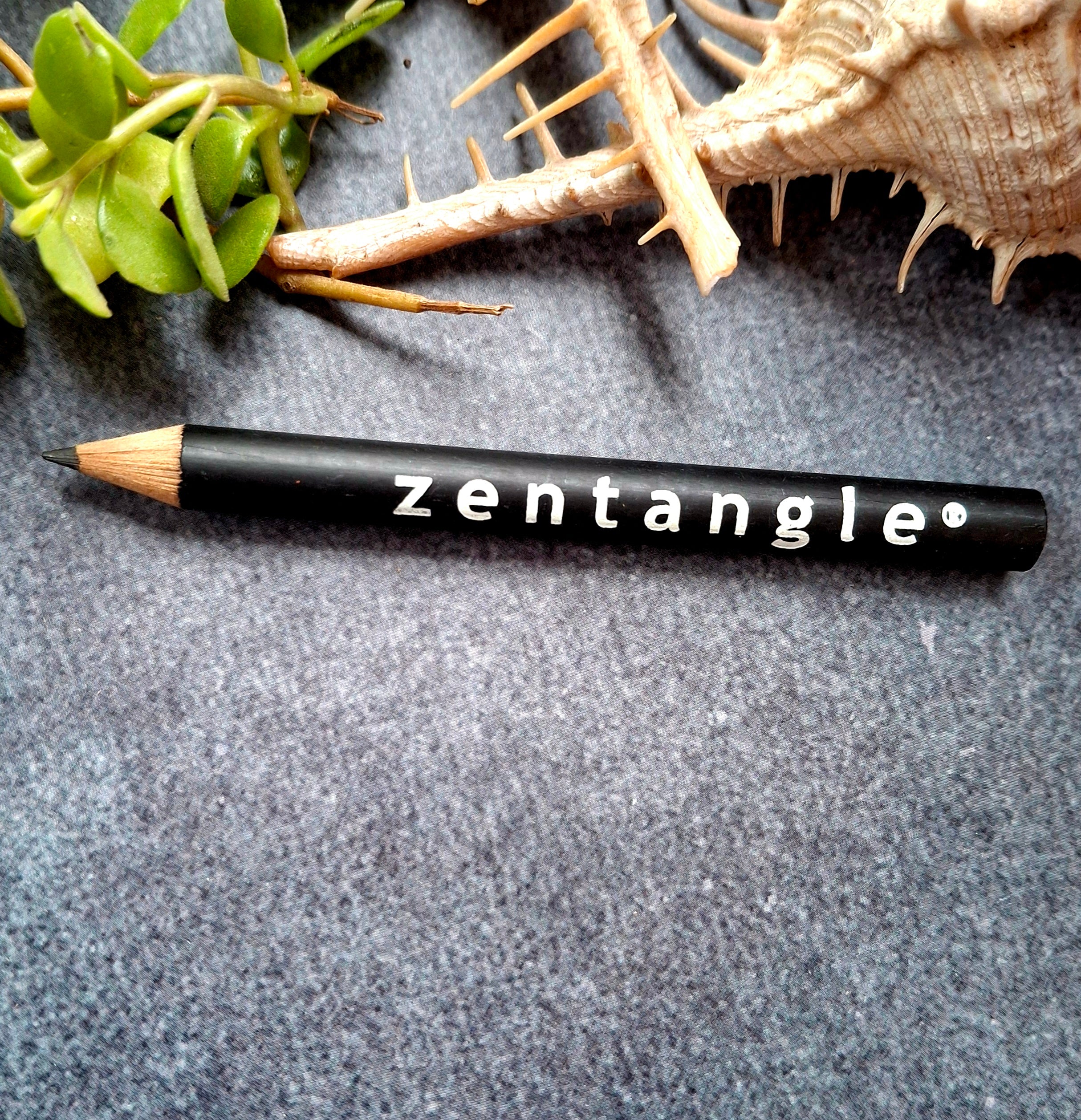 ZentangleGraphitePencilA_74123841-f243-4176-ab15-05f3eb211083.jpg